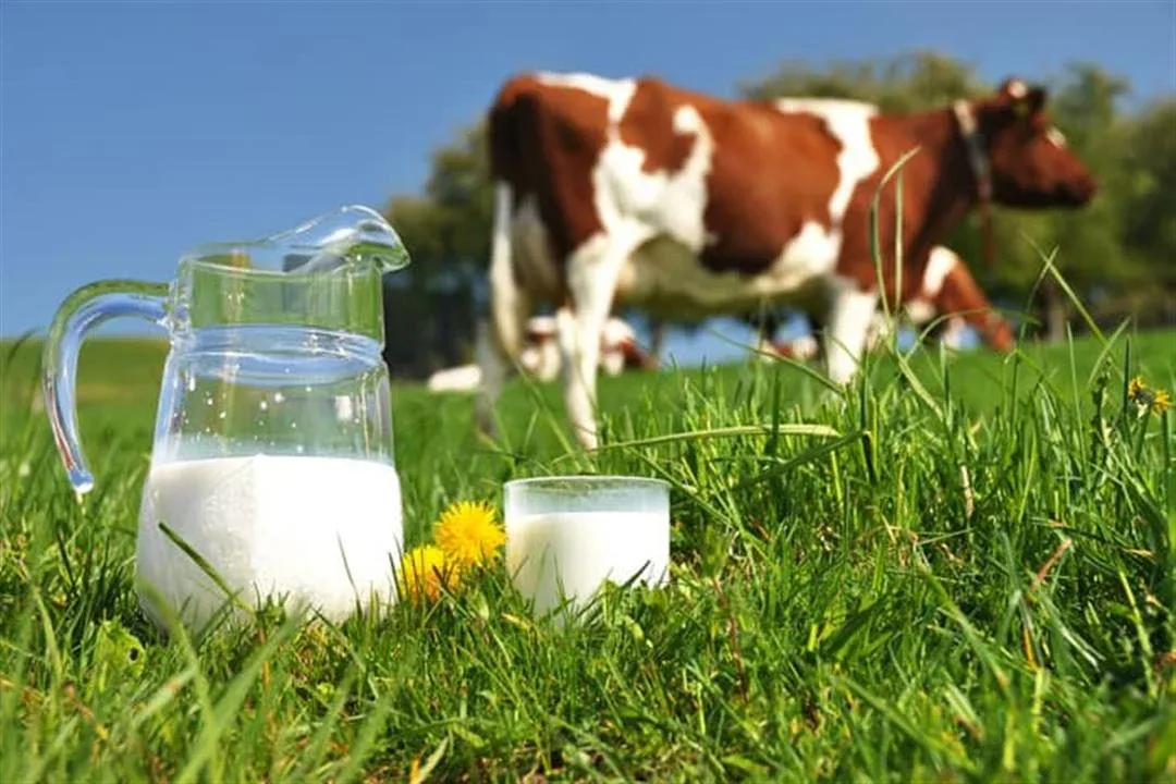 First: Breast Milk (Breastfeeding) — Always the Gold Standard